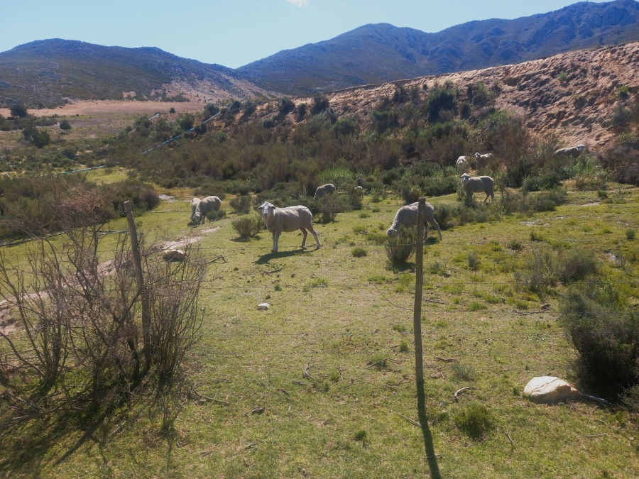 0 Bedroom Property for Sale in Uniondale Rural Western Cape